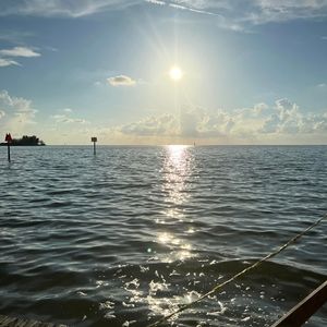 Meet your Posher, Sue